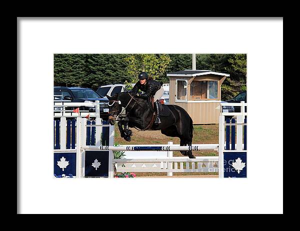 Horse Framed Print featuring the photograph Ac-jumper167 by Janice Byer