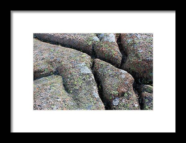 Acadia Framed Print featuring the photograph Acadia Granite 19 by Mary Bedy