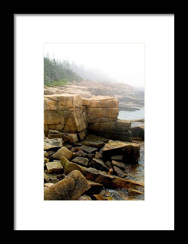 Landscape Framed Print featuring the photograph Acadia Morning 7647 by Brent L Ander