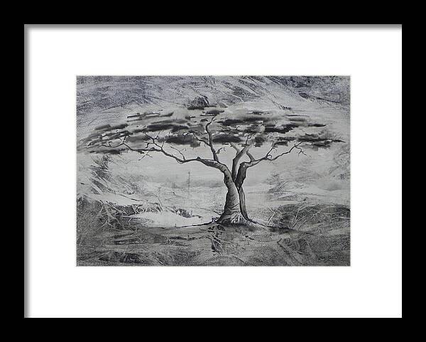 Tree Framed Print featuring the painting Acasia by Ilona Petzer