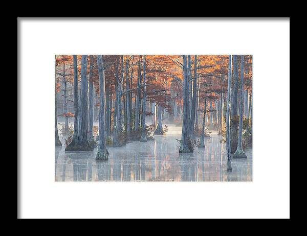 Adams Mill Pond 222 Framed Print featuring the photograph Adams Mill Pond 25 by Jim Dollar