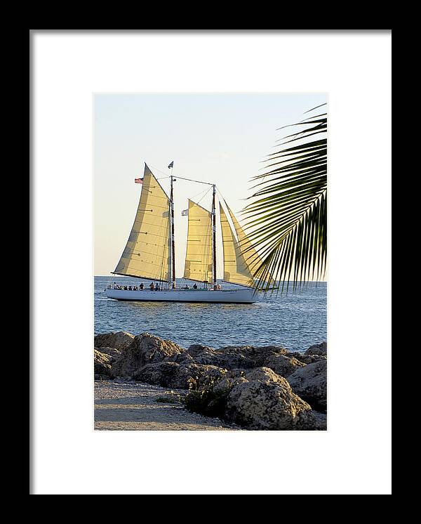 Water Framed Print featuring the photograph Sailing on the Adirondack in Key West by Bob Slitzan