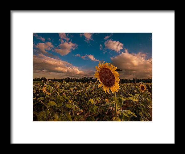 Aesthetic Ambition Framed Prints Framed Print featuring the photograph Aesthetic Ambition by John Harding