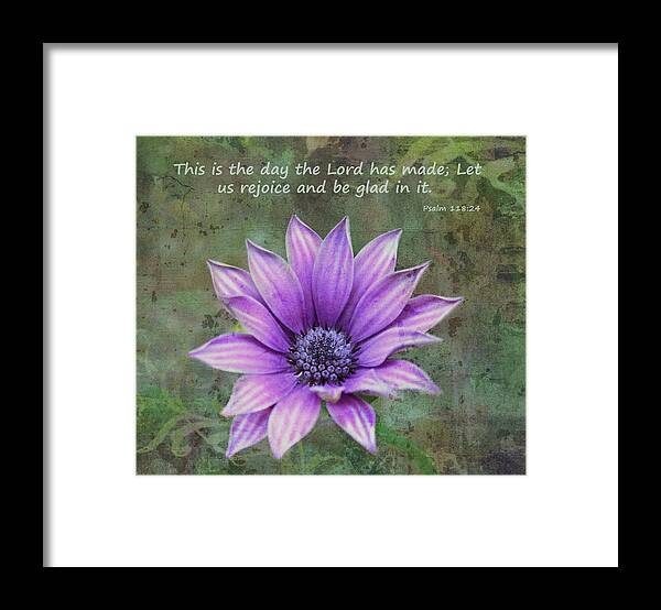 African Daisy Framed Print featuring the photograph African Daisy With Scripture by Sandi OReilly