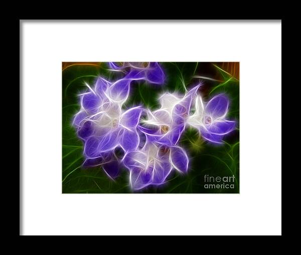African Framed Print featuring the photograph African Violets by Renee Trenholm