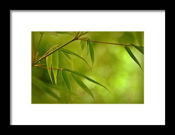 Soft Framed Print featuring the photograph After the Rain by Nathan Abbott