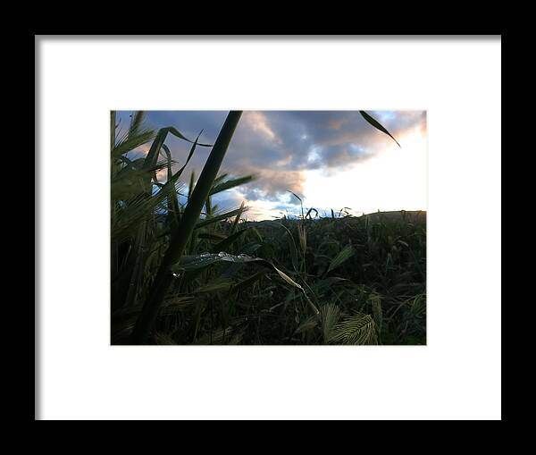 Water Framed Print featuring the photograph After the Rain by Paul Foutz