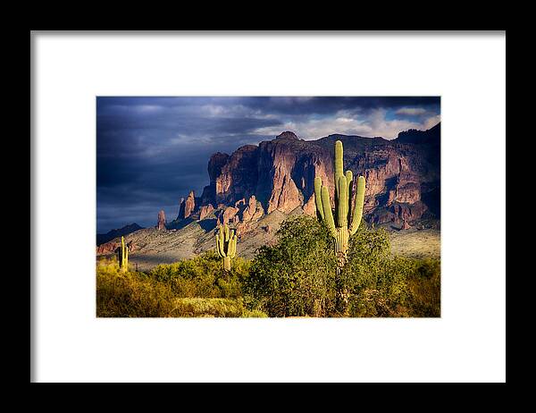 Saguaro Sunset Framed Print featuring the photograph After the Rain by Saija Lehtonen