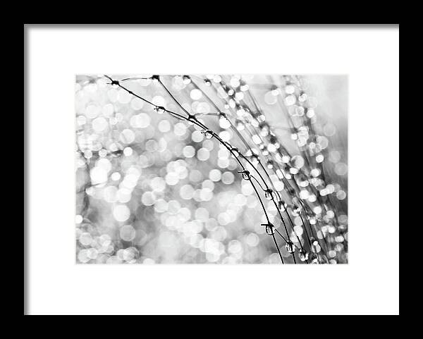 Macro Framed Print featuring the photograph After The Rain by Theresa Tahara