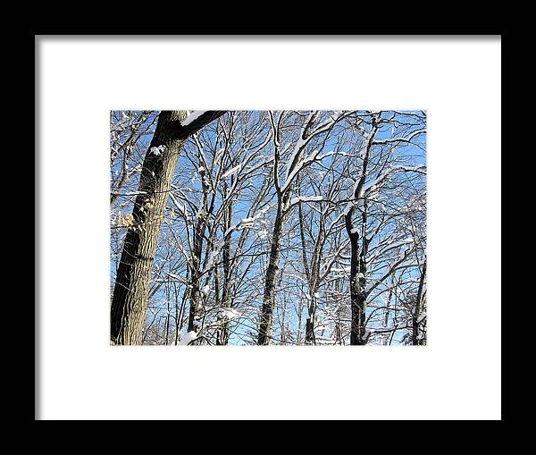 Snow Framed Print featuring the photograph After the Snowfall 1 by Dennis Lundell