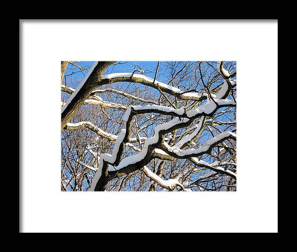 Snow Framed Print featuring the photograph After the Snowfall 2 by Dennis Lundell