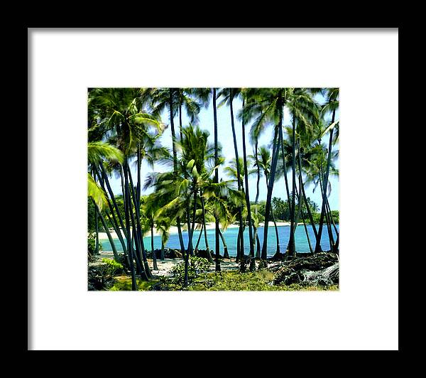 Hawaii Framed Print featuring the photograph Afternoon at Kakaha Kai by Kurt Van Wagner