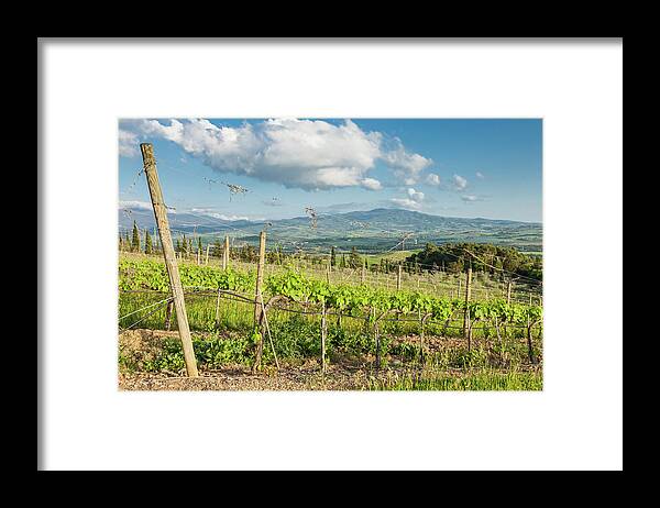 Scenics Framed Print featuring the photograph Afternoon At Tuscany Vineyards by Saro17