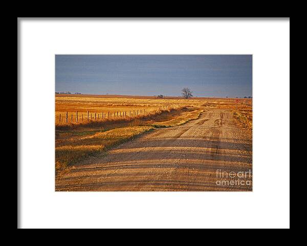 Field Framed Print featuring the photograph Afternoon Shadows by Mary Carol Story