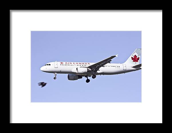 100509 Airplanes Landing In Toronto Framed Print featuring the photograph Air Canada by Nick Mares