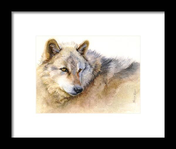 Wolf Framed Print featuring the painting Alaskan Gray Wolf by Bonnie Rinier