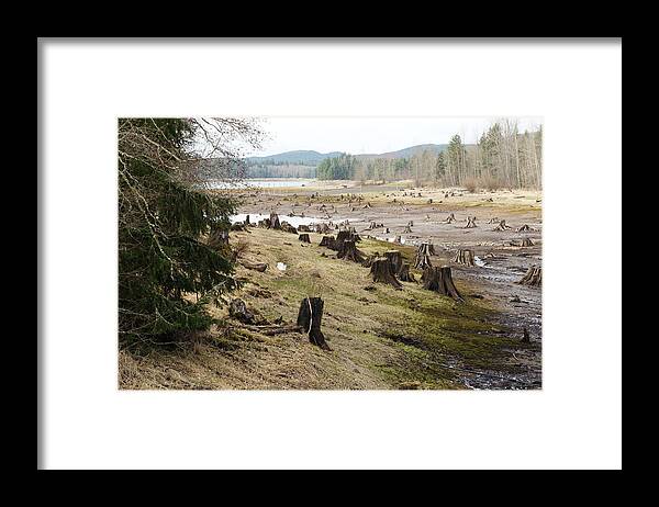 Wall Art Framed Print featuring the photograph Alder Lake by Ron Roberts