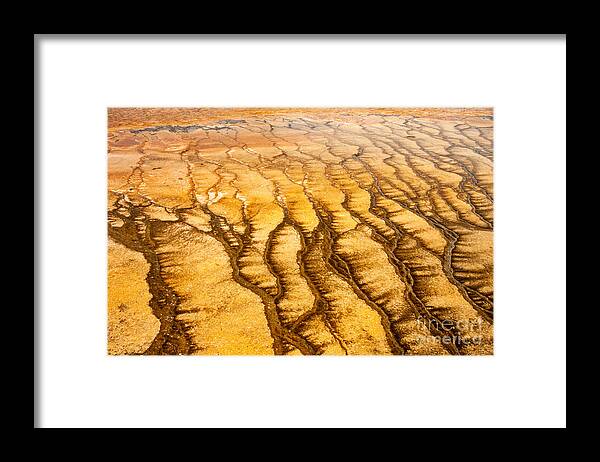 Algae Patterns Framed Print featuring the photograph Algae Patterns at the Grand Prismatic Spring in Midway Geyser Basin by Fred Stearns