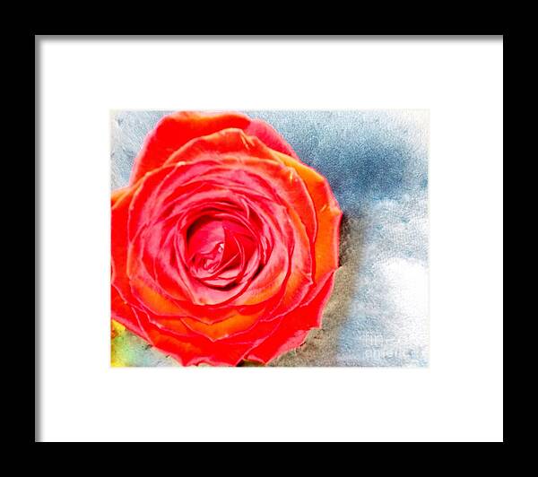 Rose Framed Print featuring the photograph All In The Way You Look by Valerie Shaffer