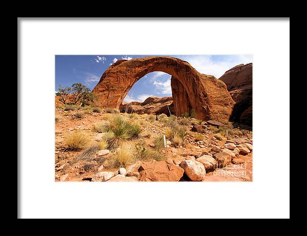 Rainbow Bridge Framed Print featuring the photograph All Lined Up by Adam Jewell