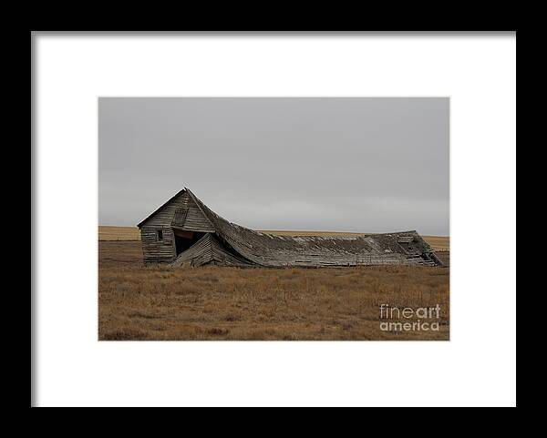 Dairy Barn Framed Print featuring the photograph All That Remains by Ann E Robson