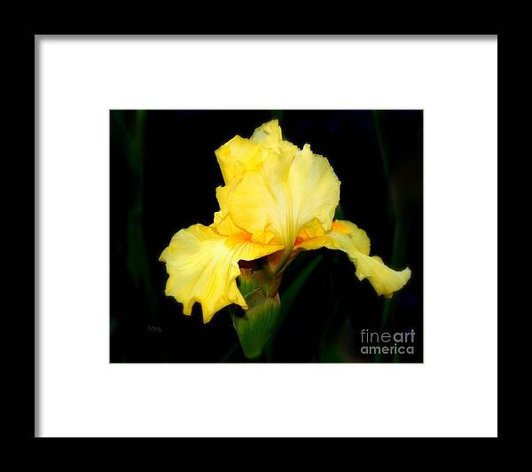 Alluring Iris Framed Print featuring the photograph Alluring Iris by Patrick Witz