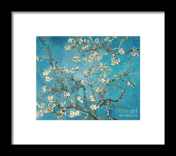 Van Framed Print featuring the painting Almond branches in bloom by Vincent van Gogh