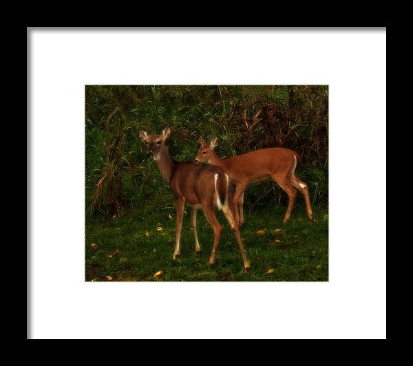 Nature Framed Print featuring the photograph Almost Dark by Lena Wilhite