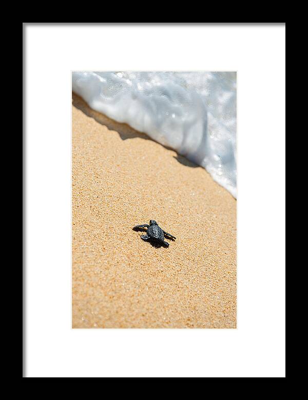 Beach Framed Print featuring the photograph Almost Home by Sebastian Musial