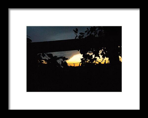 Meditation In Moonlight Framed Print featuring the digital art Vineyard At Twilight by Pamela Smale Williams