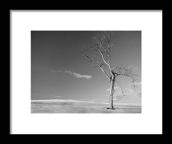 Minimalism Framed Print featuring the photograph Alone - BW by Wayne Moran