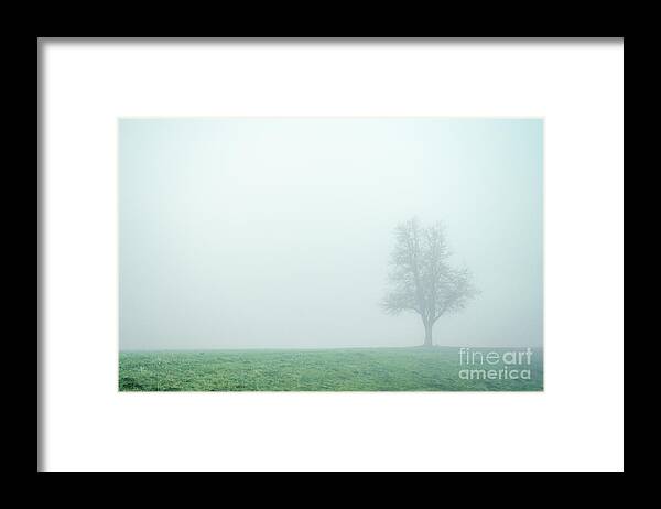 Austria Framed Print featuring the photograph Alone In The Fog - Green by Hannes Cmarits