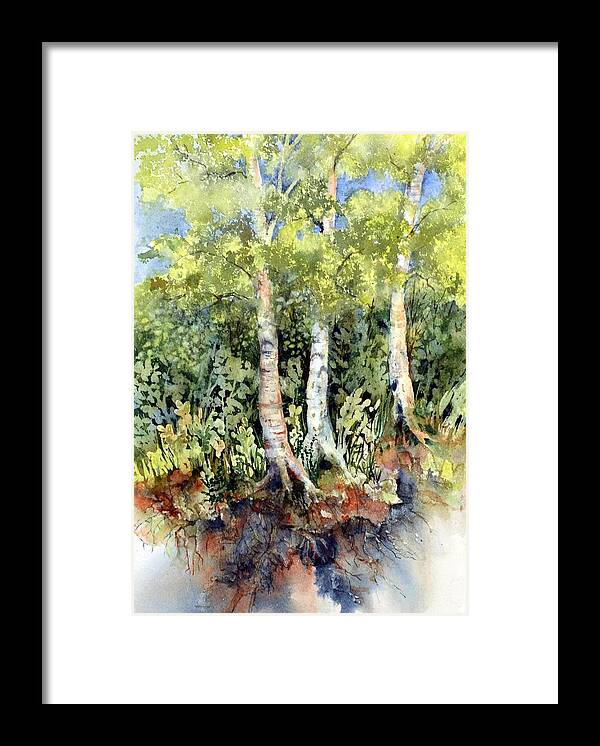 Birch Painting Framed Print featuring the painting Along the Bank by Pamela Lee