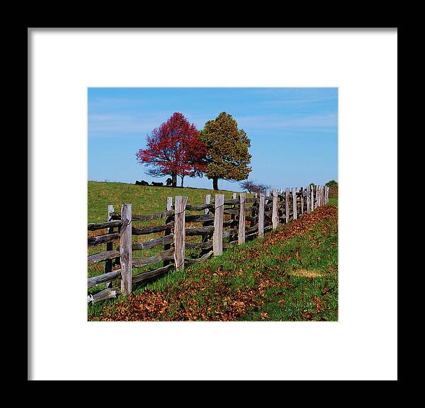 Trees Framed Print featuring the photograph Along the fence by Eric Liller