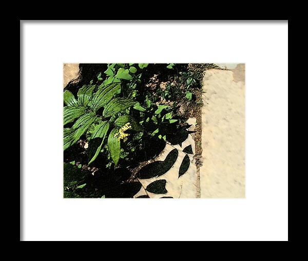 Nature Framed Print featuring the digital art Along the Path by David Blank
