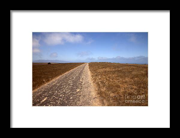 Channel Islands Framed Print featuring the photograph Along the Road by Amanda Barcon