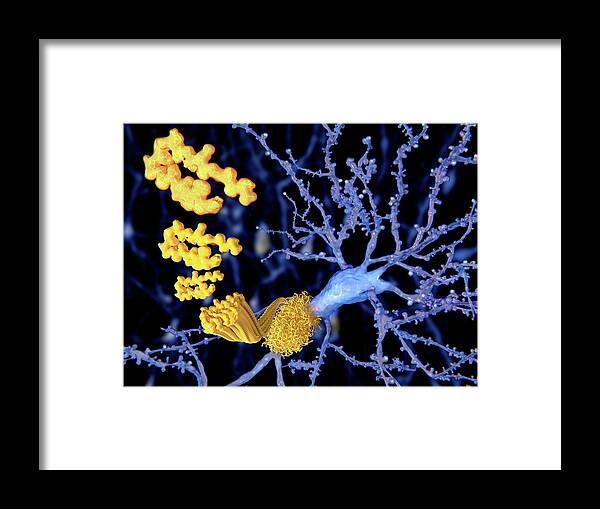3d Artwork Framed Print featuring the photograph Alzheimer Disease, The Beta-amyloid by Juan Gaertner