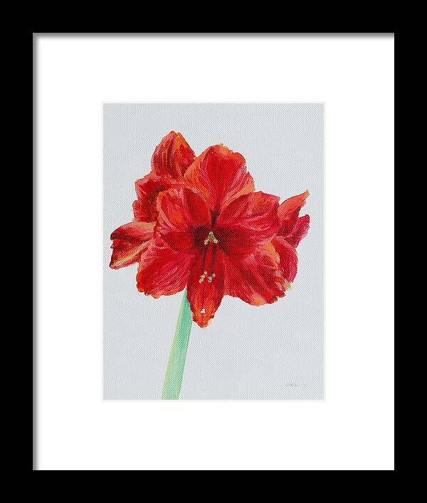 Red Framed Print featuring the painting Amaryllis by Michele Myers