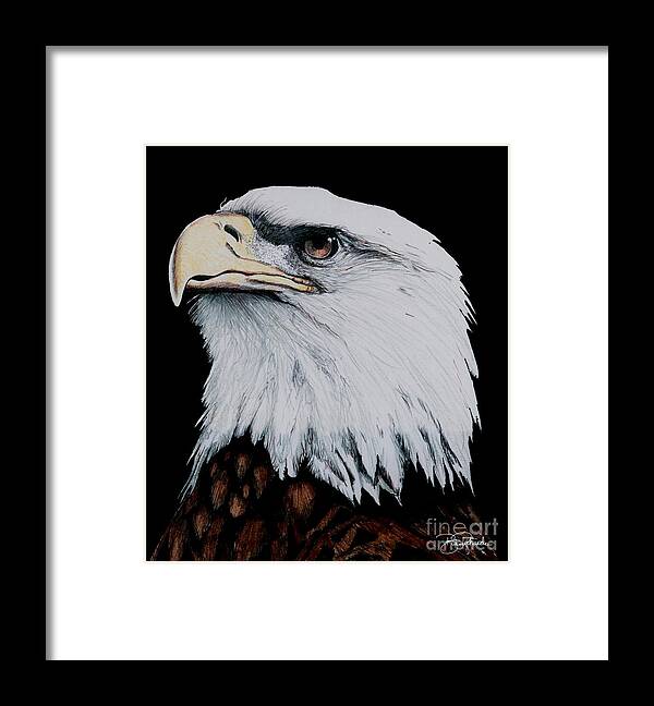Pen Framed Print featuring the drawing American Bald Eagle by Bill Richards