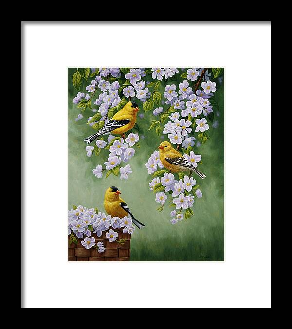 Bird Framed Print featuring the painting American Goldfinches and Apple Blossoms by Crista Forest