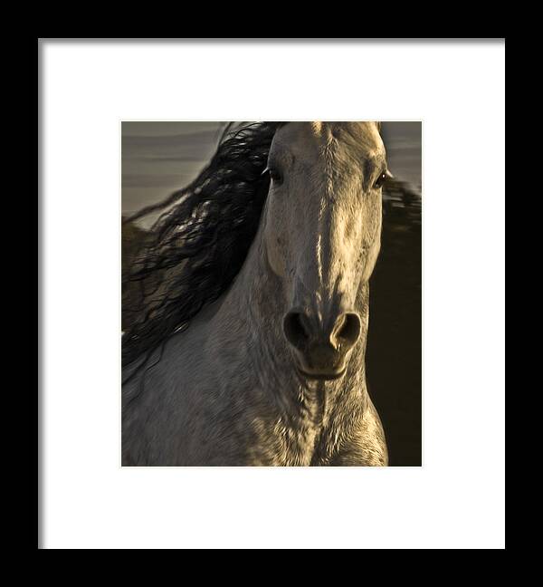 Andalusia Framed Print featuring the photograph Americano 3 by Catherine Sobredo