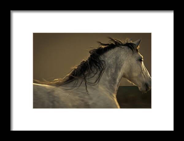 Andalusia Framed Print featuring the photograph Americano 4 by Catherine Sobredo