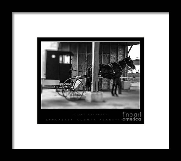 Amish Framed Print featuring the photograph Amish Buggy Parking by Vilas Malankar