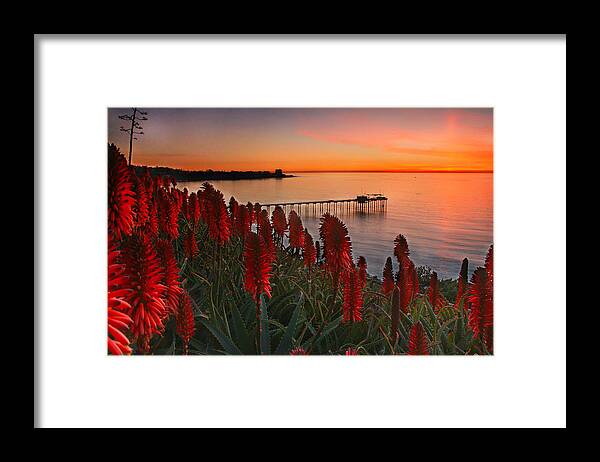 Landscape Framed Print featuring the photograph Among the Aloe by Scott Cunningham
