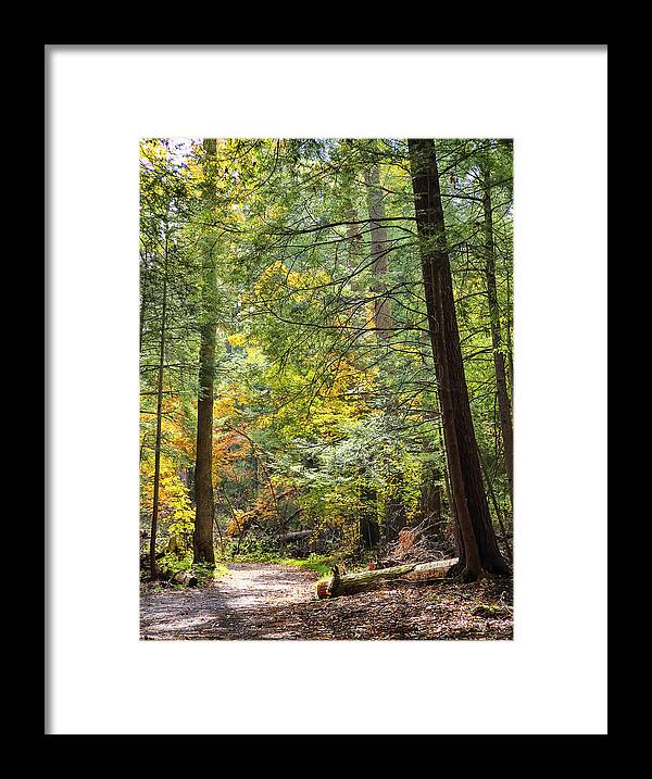 Autumn Framed Print featuring the photograph An Autumn Path by SCB Captures