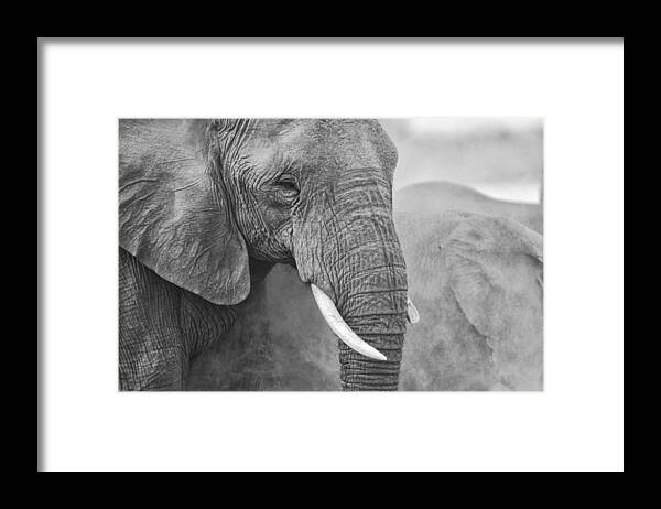 Sand Framed Print featuring the photograph An elephant never forgets by Paul W Sharpe Aka Wizard of Wonders