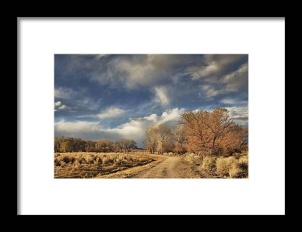 Bishop Framed Print featuring the photograph An Evening Walk by Michele Cornelius