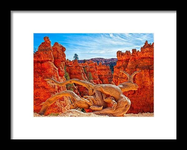 Landscape Framed Print featuring the photograph An Object for Imagination by John M Bailey