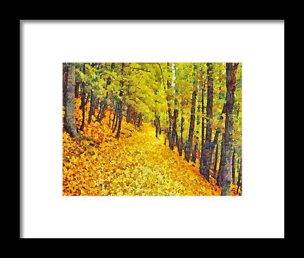 Frick Park Framed Print featuring the digital art An October Walk in the Woods. 2 by Digital Photographic Arts