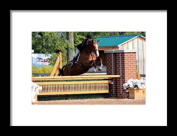 Horse Framed Print featuring the photograph An-s-hunter20 by Janice Byer